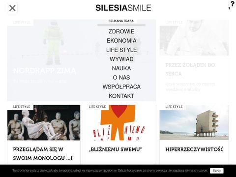 Silesia Smile reklama firmy