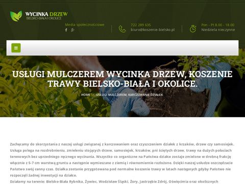 Reszka - wycinka drzew Bielsko