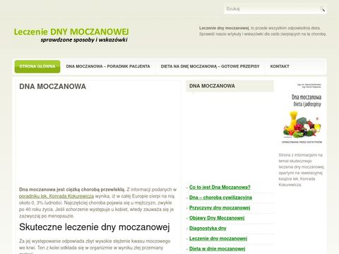 Leczeniednymoczanowej.pl