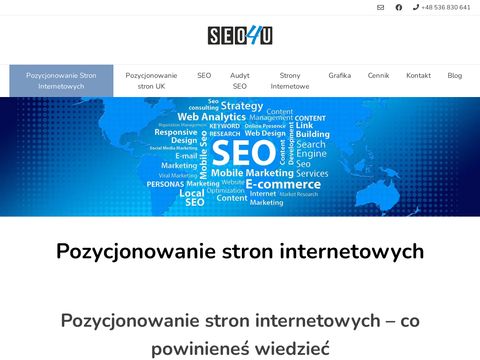 Pozycjonowanie4u.pl