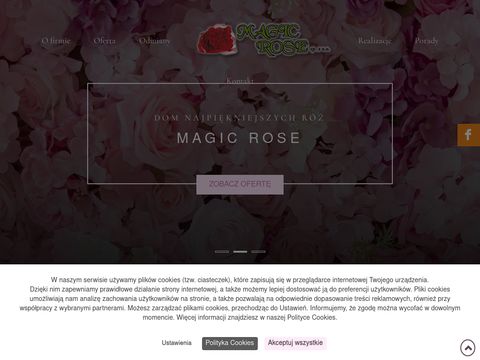 Magic Rose sprzedaż róż hurt