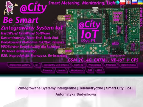 Isys.pl - intelligent systems