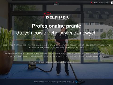 Delfinek pranie dywanów Żywiec