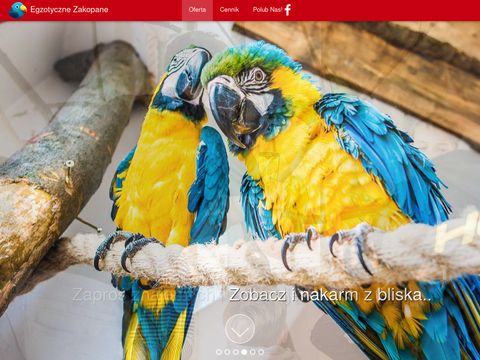 Egzotyczne-zakopane.pl papugarnia