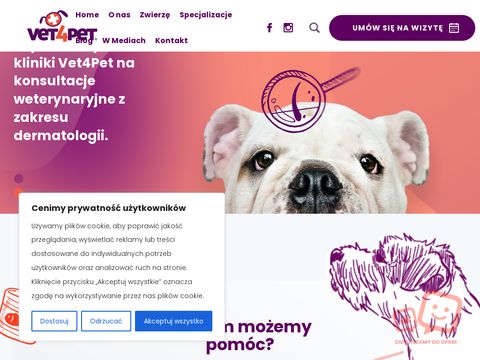 Vet4pet weterynarz niedziela