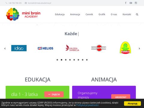 Mini Brain Academy Anna Szubert