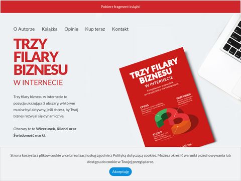 Trzyfilarybiznesu.pl marketing w internecie